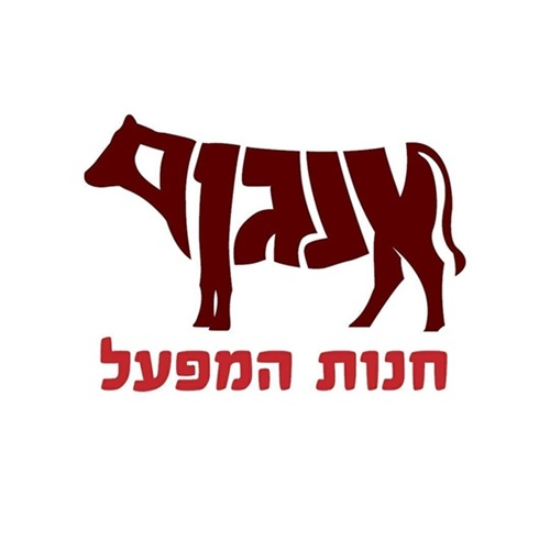 אנגוס דבאח מודיעין
