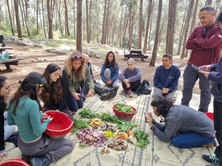 ליקוט פטריות מודיעין והסביבה